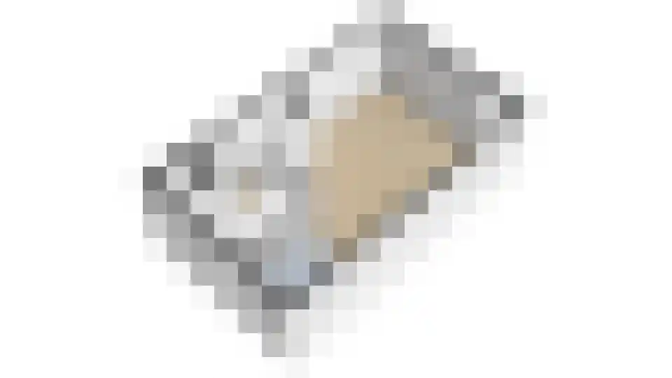 Zwanenpad 14 Delft thumbnail 20