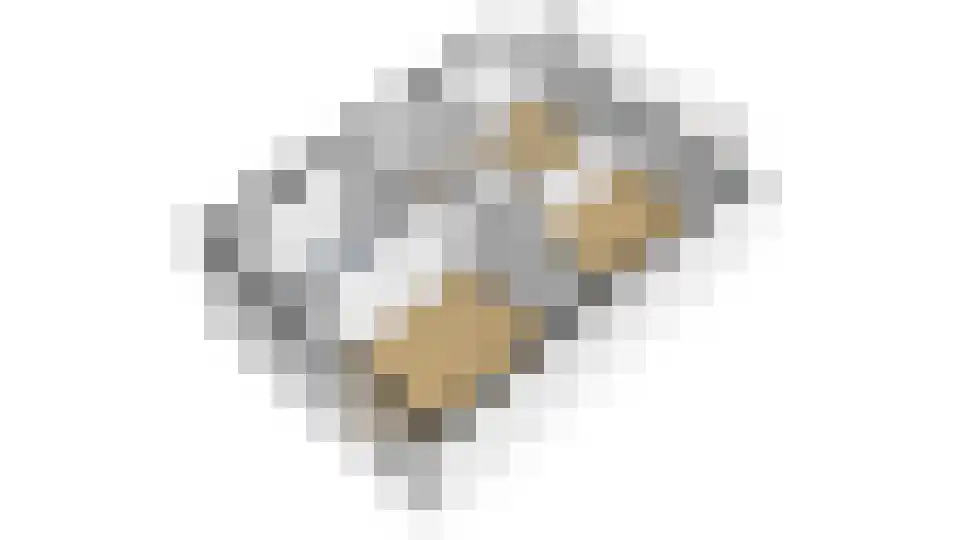 Zwanenpad 14 Delft thumbnail 22