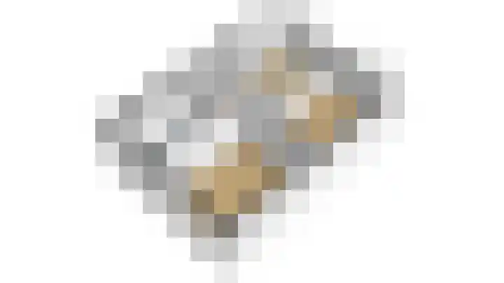 Zwanenpad 14 Delft thumbnail 22