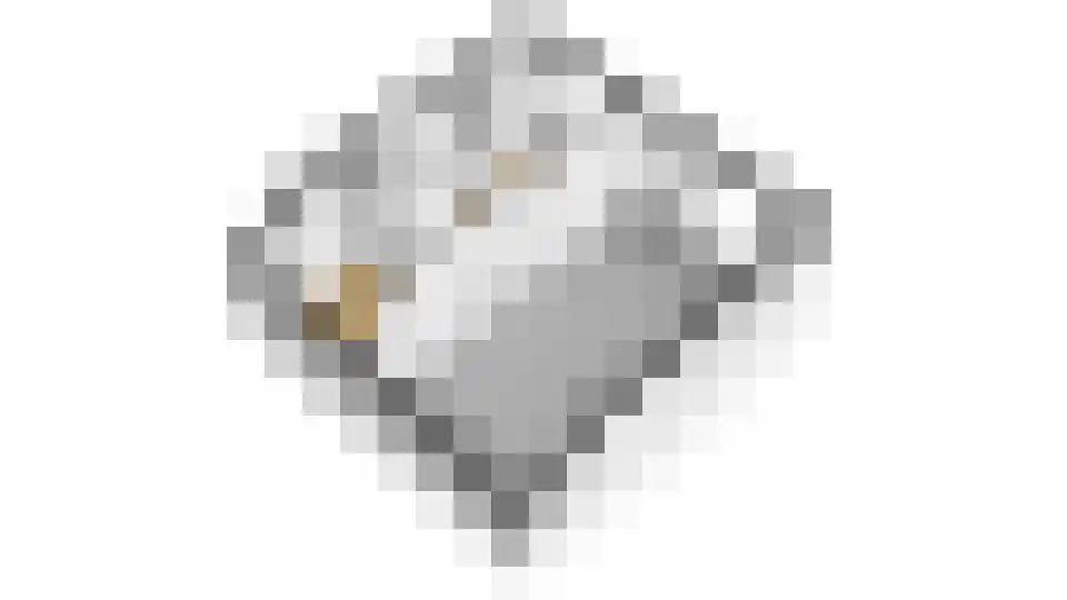 Zwanenpad 14 Delft thumbnail 24