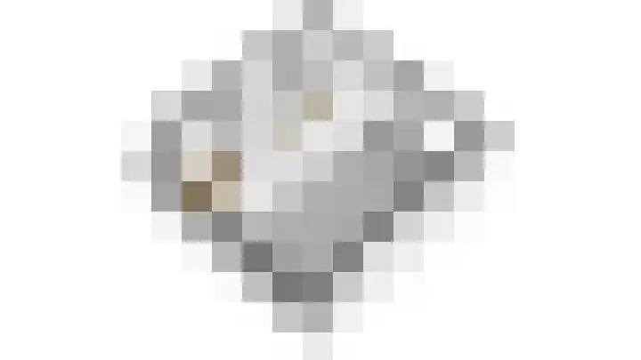 Zwanenpad 14 Delft thumbnail 24