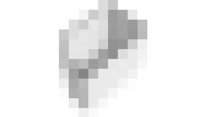 Zwanenpad 14 Delft thumbnail 26