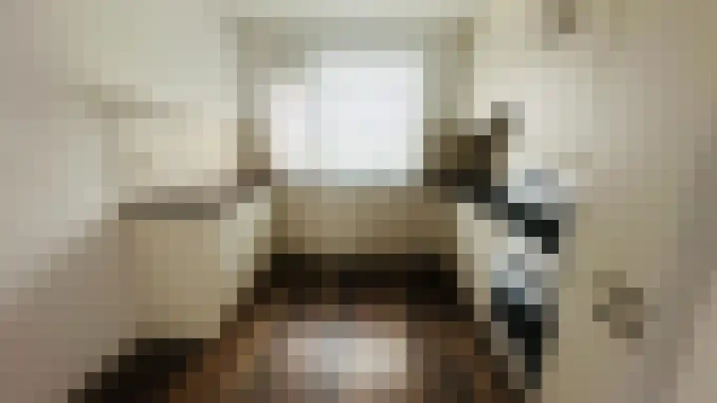 Zwanenpad 14 Delft thumbnail 5