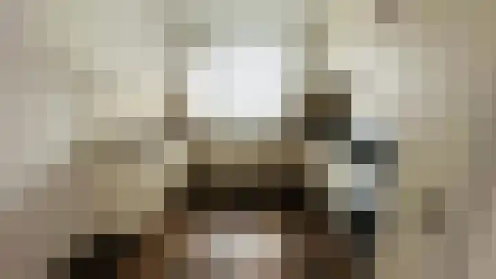 Zwanenpad 14 Delft thumbnail 5