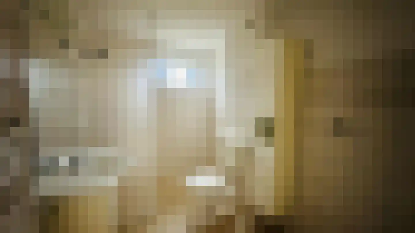 Zwanenpad 14 Delft thumbnail 6