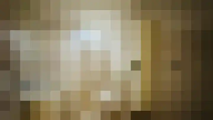 Zwanenpad 14 Delft thumbnail 6