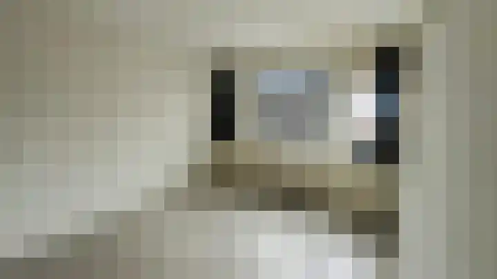 Zwanenpad 14 Delft thumbnail 8