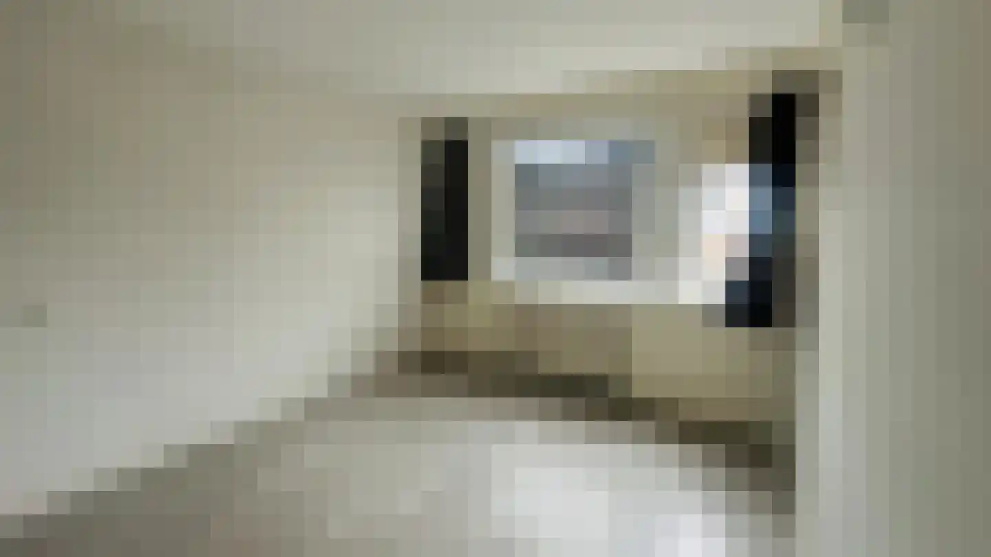 Zwanenpad 14 Delft thumbnail 8
