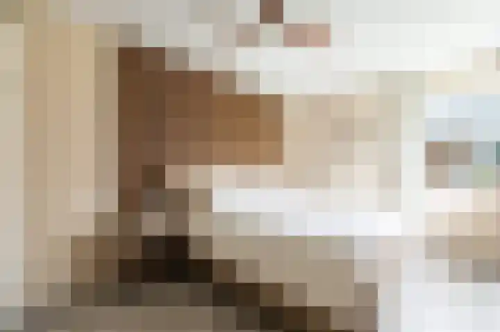 Zwanenpad 2 B Teuge thumbnail 13