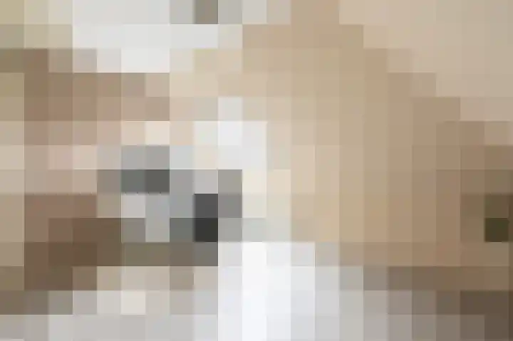 Zwanenpad 2 B Teuge thumbnail 19