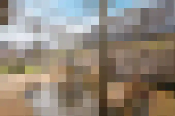 Zwanenpad 2 B Teuge thumbnail 26