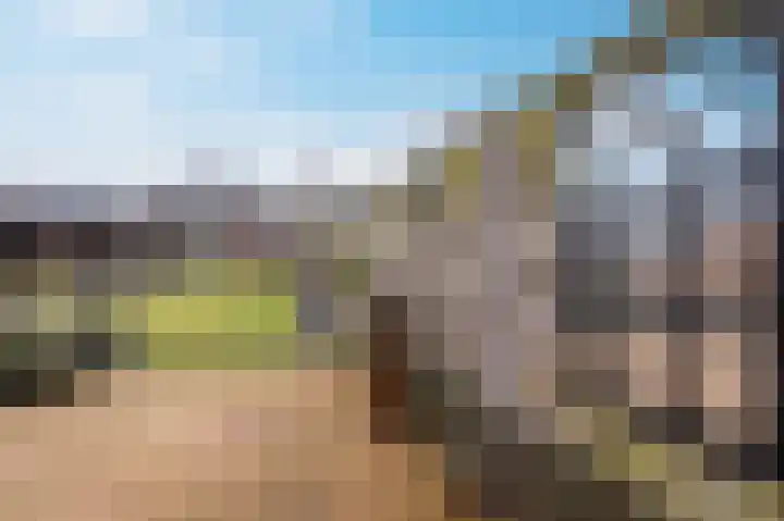 Zwanenpad 2 B Teuge thumbnail 27