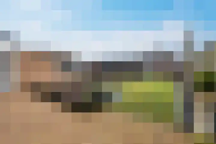 Zwanenpad 2 B Teuge thumbnail 28