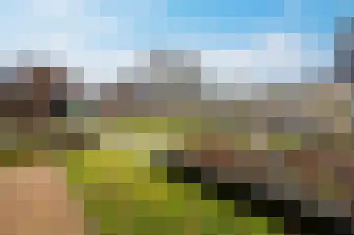 Zwanenpad 2 B Teuge thumbnail 29