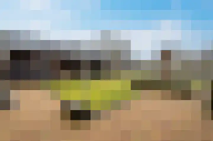 Zwanenpad 2 B Teuge thumbnail 30