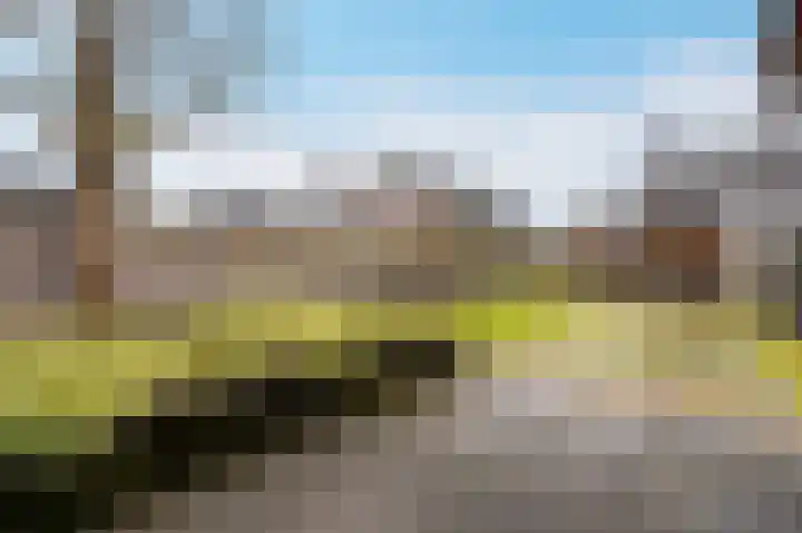 Zwanenpad 2 B Teuge thumbnail 33