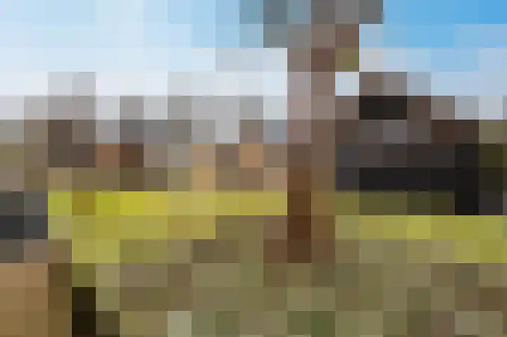 Zwanenpad 2 B Teuge thumbnail 34