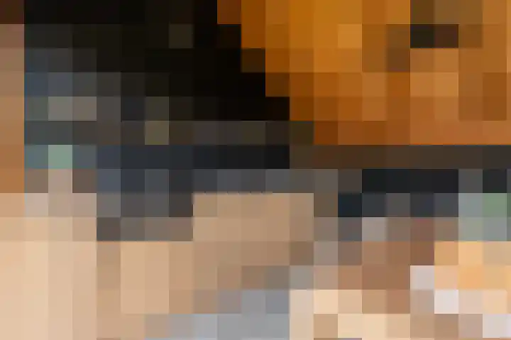 Zwanenpad 2 B Teuge thumbnail 37