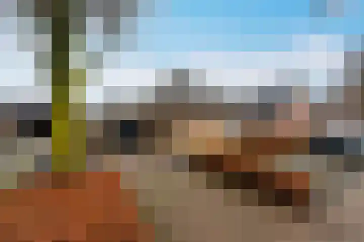 Zwanenpad 2 B Teuge thumbnail 38