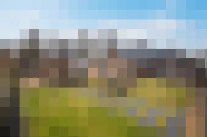 Zwanenpad 2 B Teuge thumbnail 39