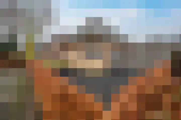 Zwanenpad 2 B Teuge thumbnail 40