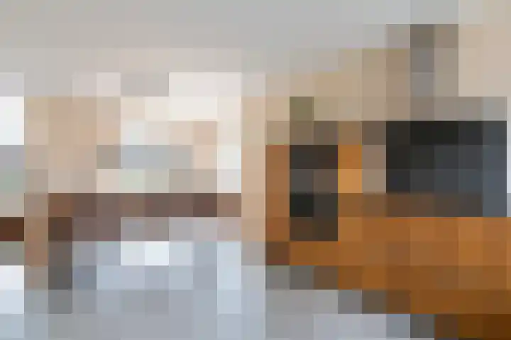Zwanenpad 2 B Teuge thumbnail 5