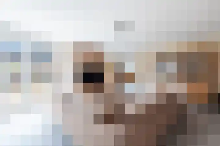 Zwanenpad 2 B Teuge thumbnail 7