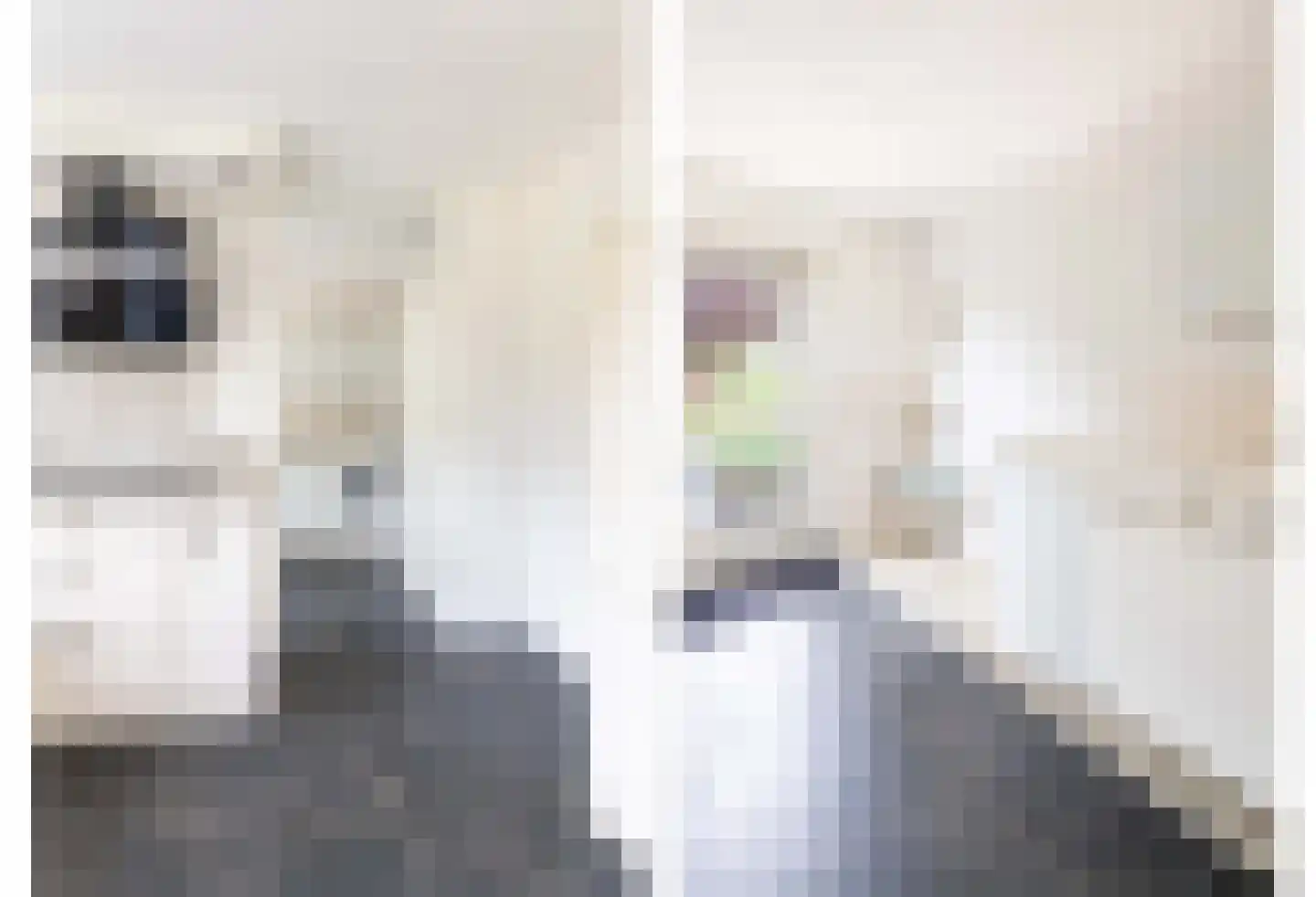 Zwanenpad 5 Teuge thumbnail 15