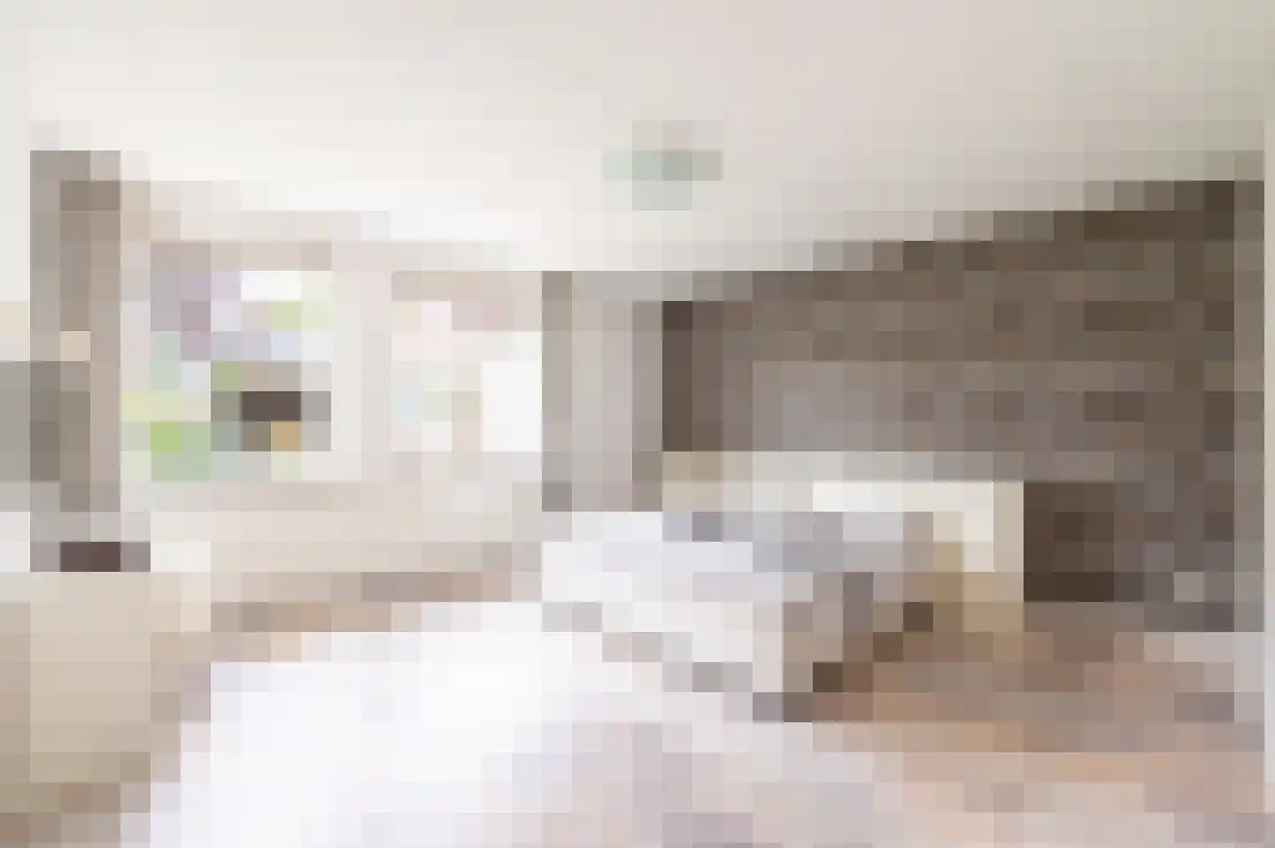 Zwanenpad 5 Teuge thumbnail 18