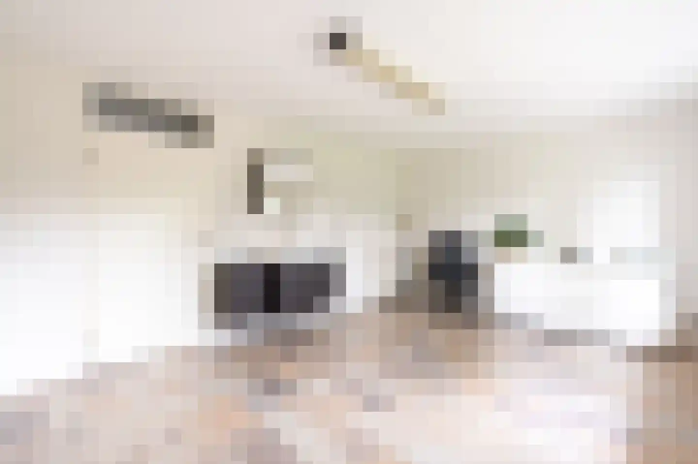 Zwanenpad 5 Teuge thumbnail 21