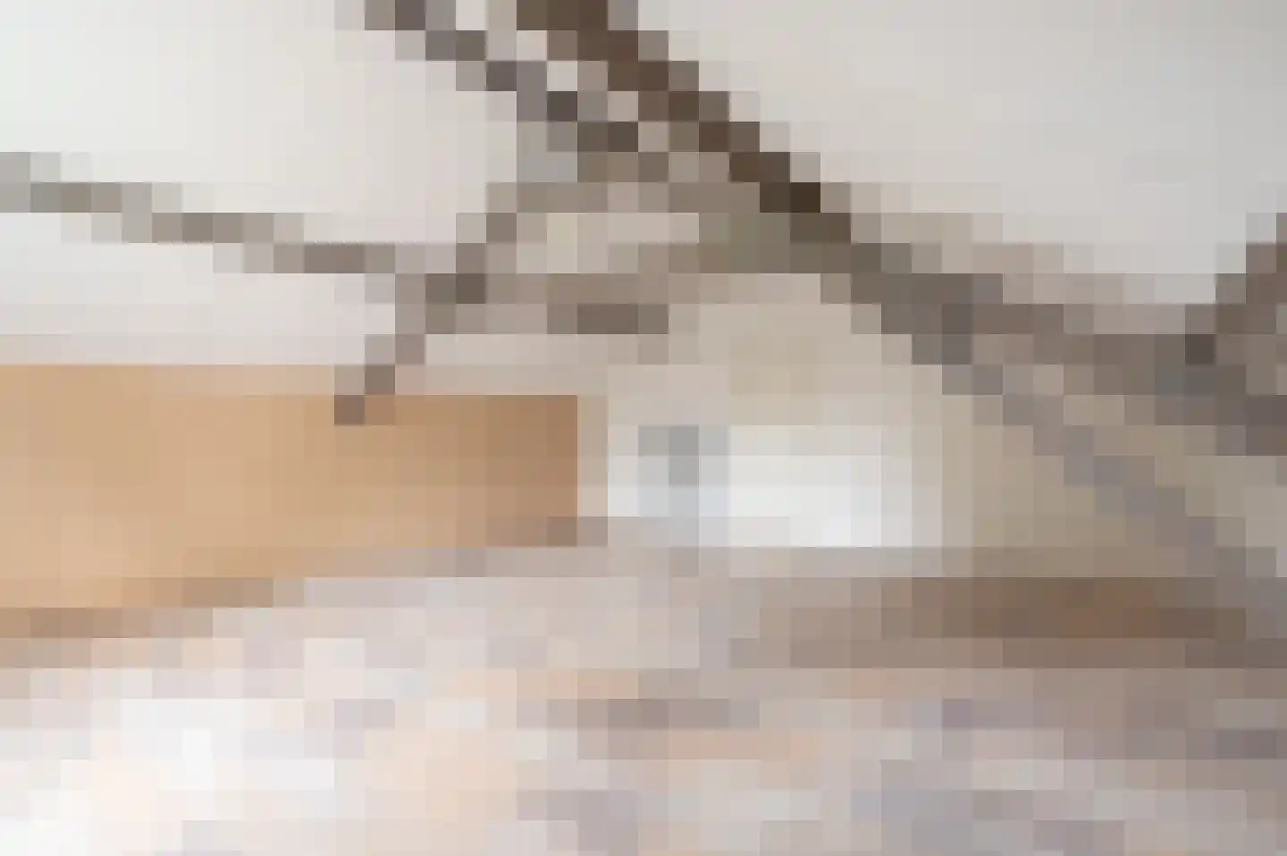 Zwanenpad 5 Teuge thumbnail 25