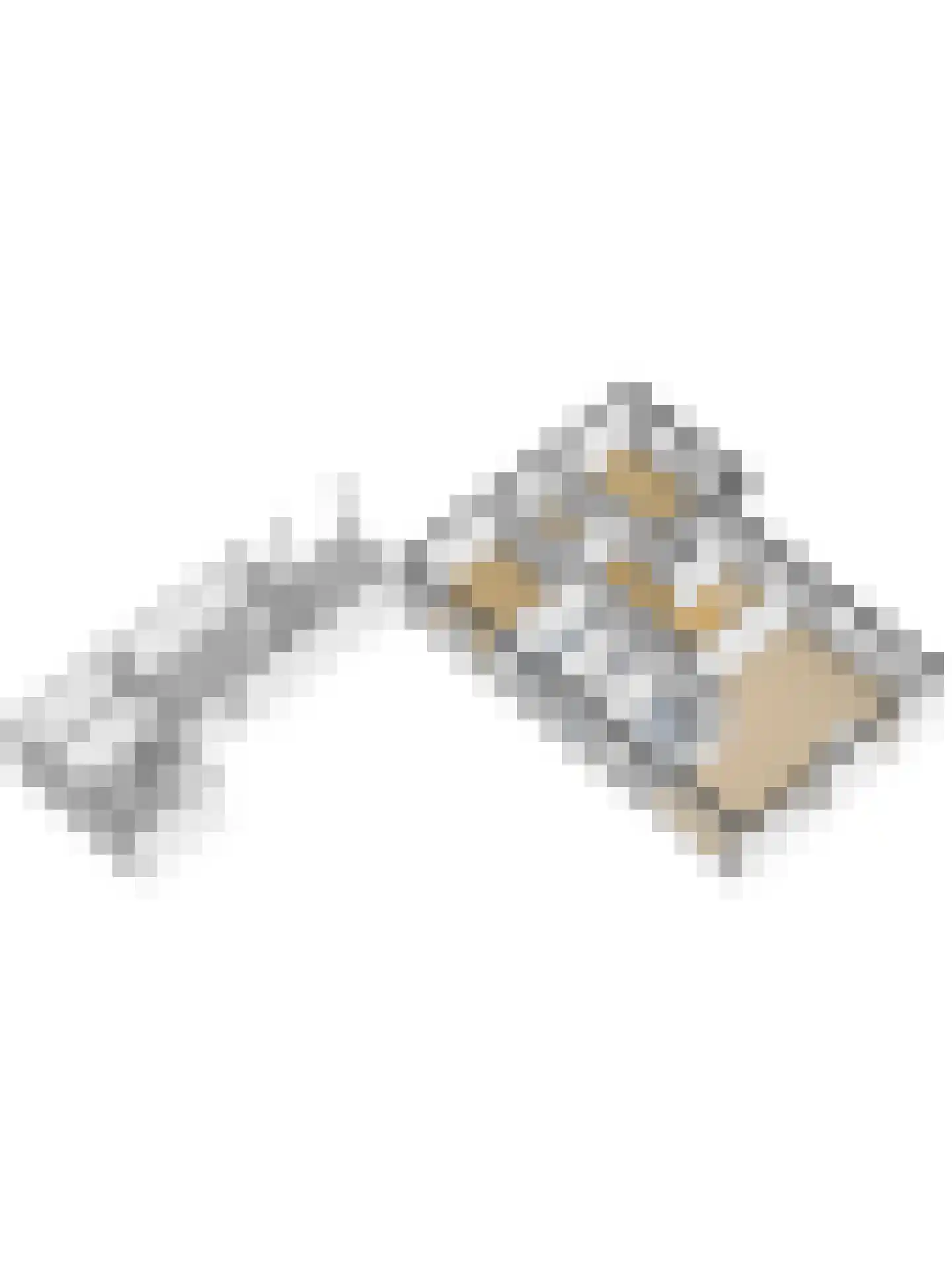 Zwanenpad 5 Teuge thumbnail 45