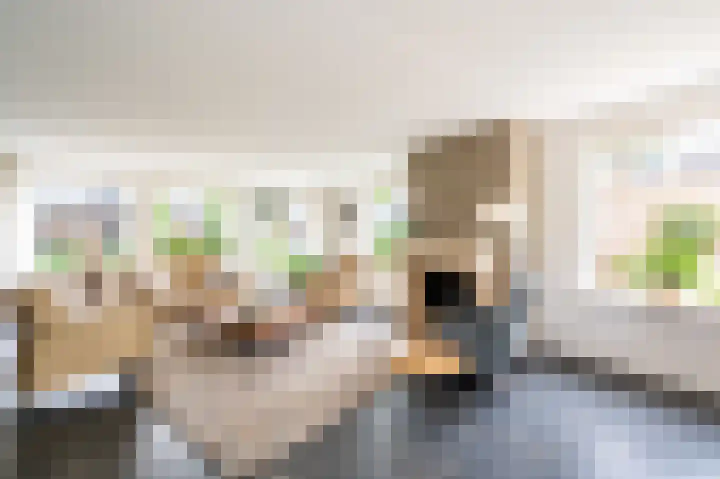 Zwanenpad 5 Teuge thumbnail 8