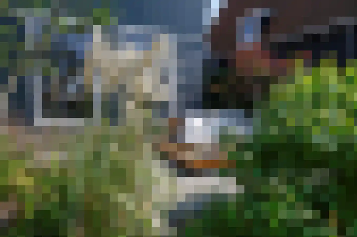 Zwanenpad 5 Watergang thumbnail 40
