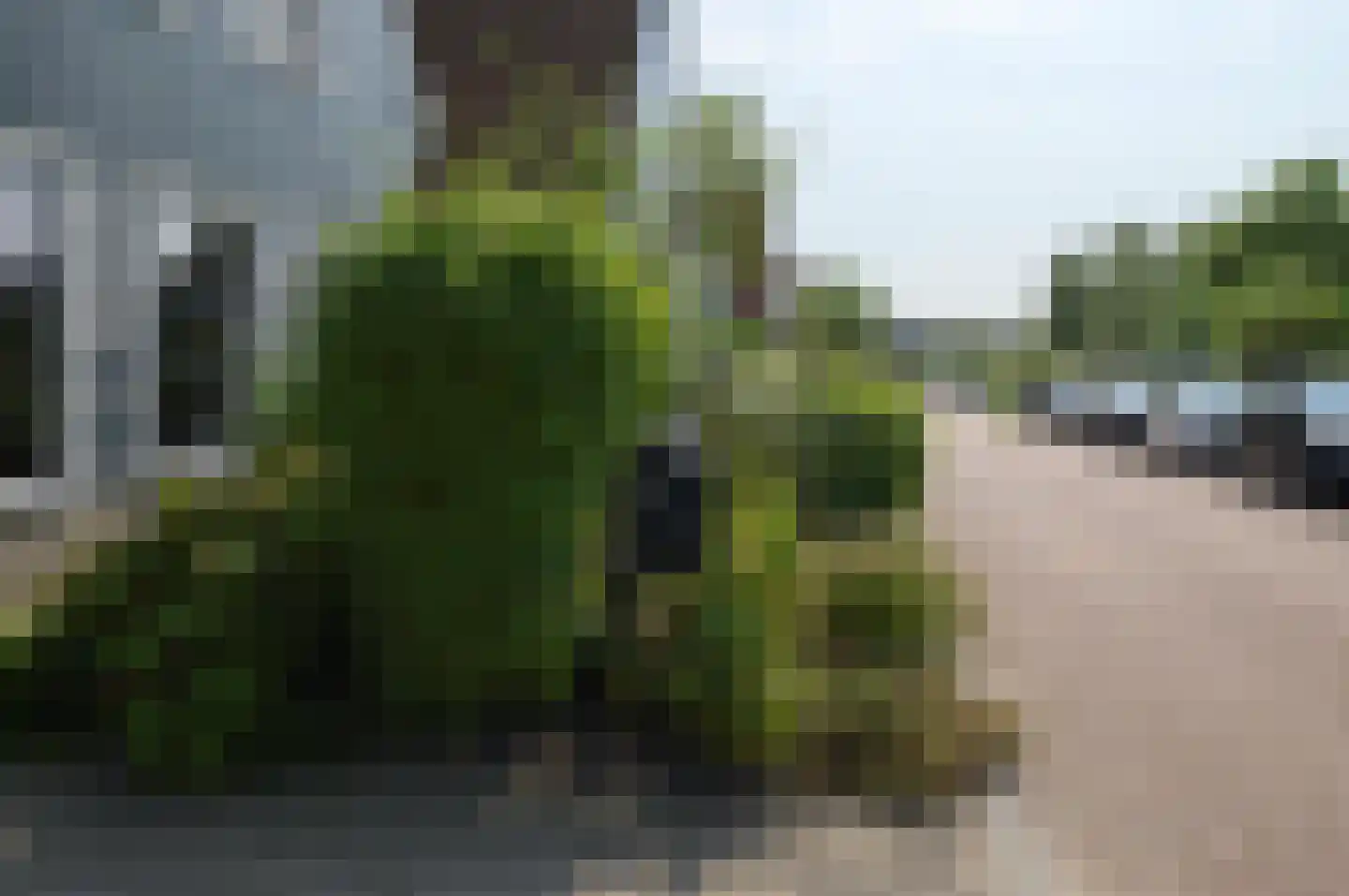 Zwanenpad 5 Watergang thumbnail 41