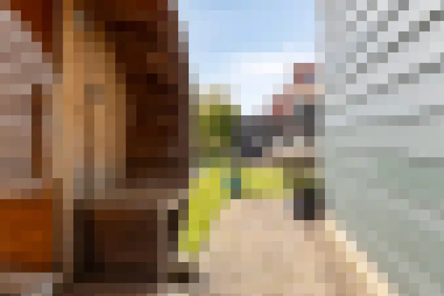 Zwanenpad 7 Watergang thumbnail 68