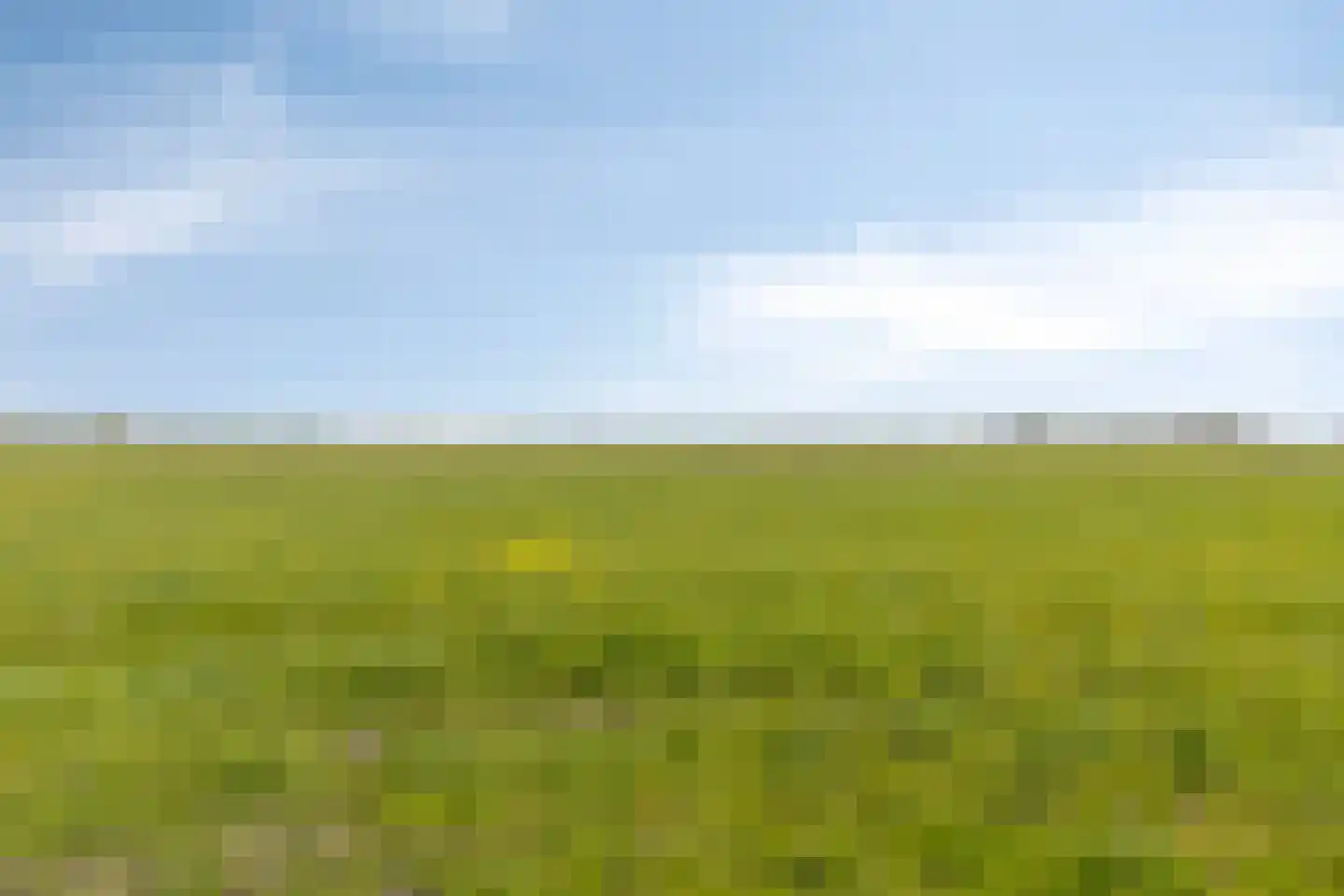Zwanenpad 7 Watergang thumbnail 77