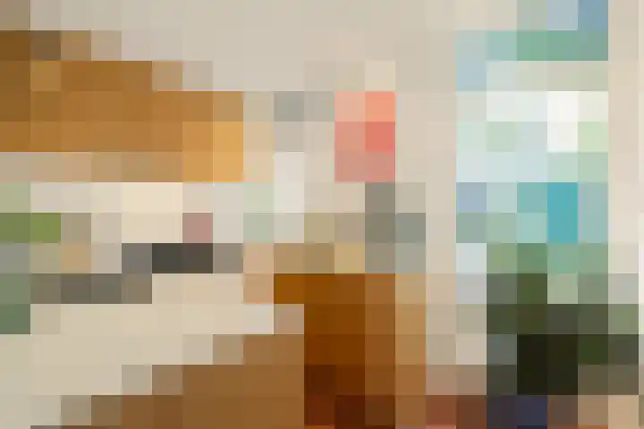 Zwanenplein 17 Amsterdam thumbnail 16