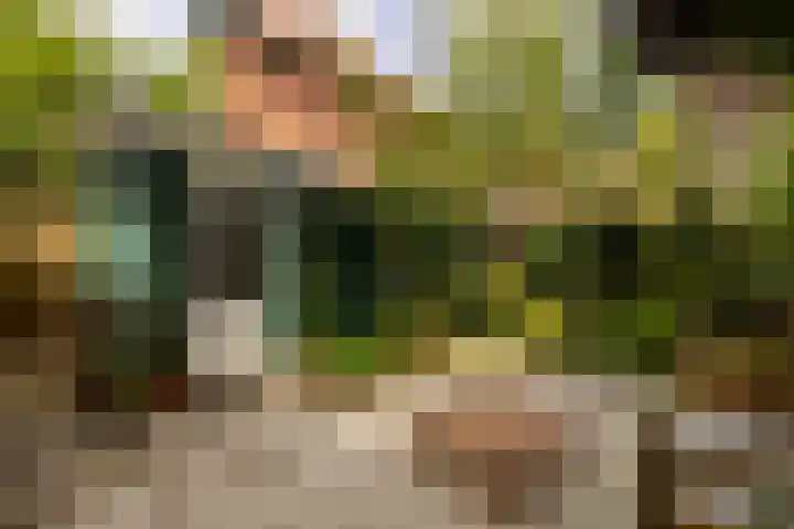 Zwanenplein 17 Amsterdam thumbnail 18