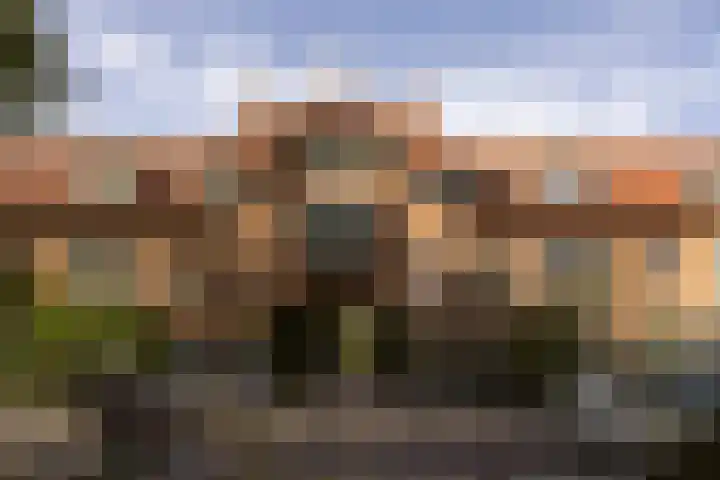 Zwanenplein 17 Amsterdam thumbnail 22