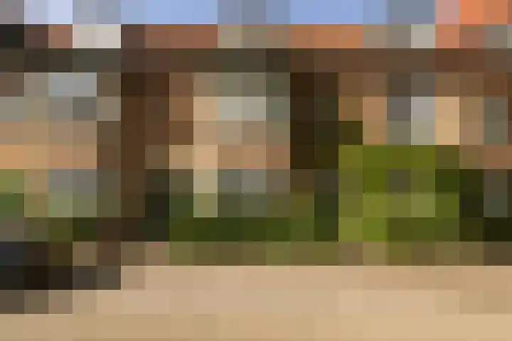 Zwanenplein 17 Amsterdam thumbnail 30