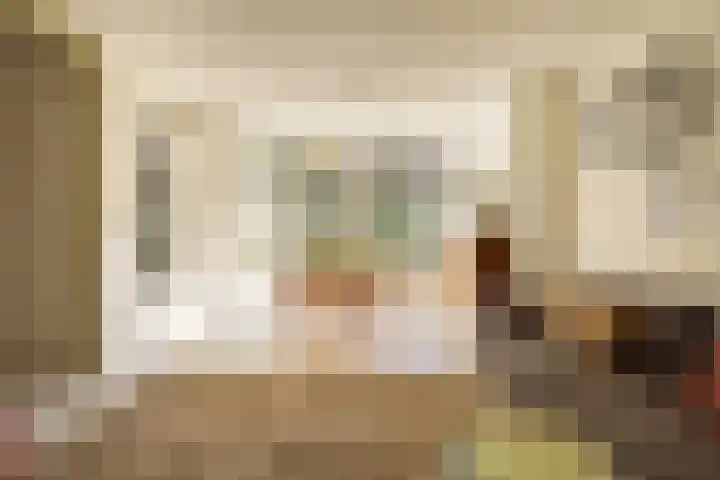 Zwanenplein 17 Amsterdam thumbnail 5