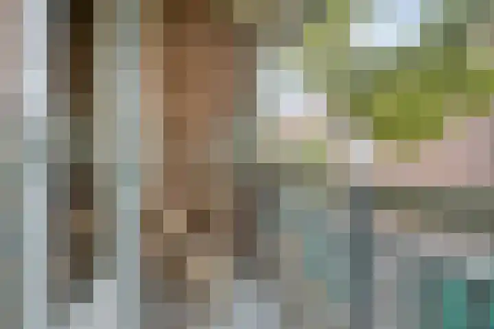 Zwanenplein 27 Amsterdam thumbnail 16