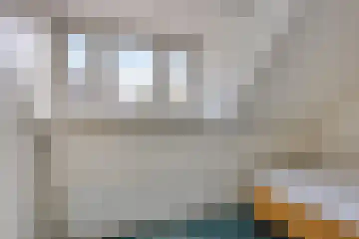 Zwanenplein 27 Amsterdam thumbnail 22