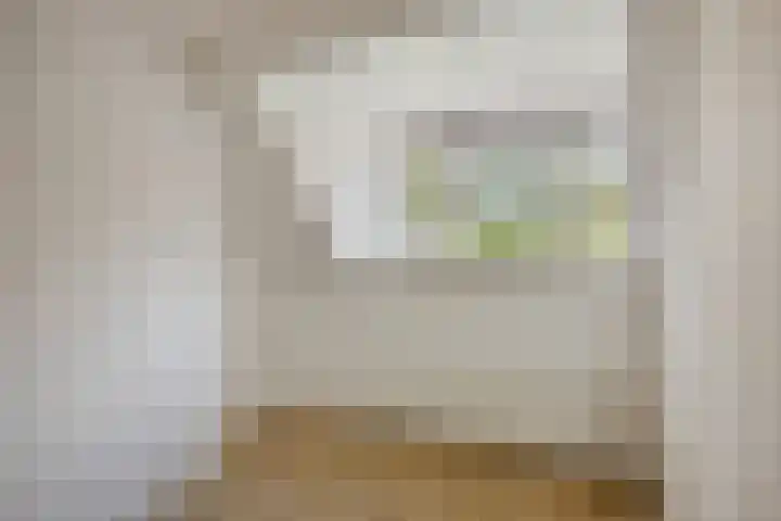 Zwanenplein 27 Amsterdam thumbnail 32