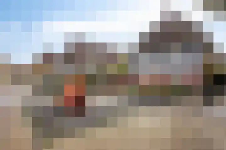 Zwanenplein 27 Amsterdam thumbnail 37