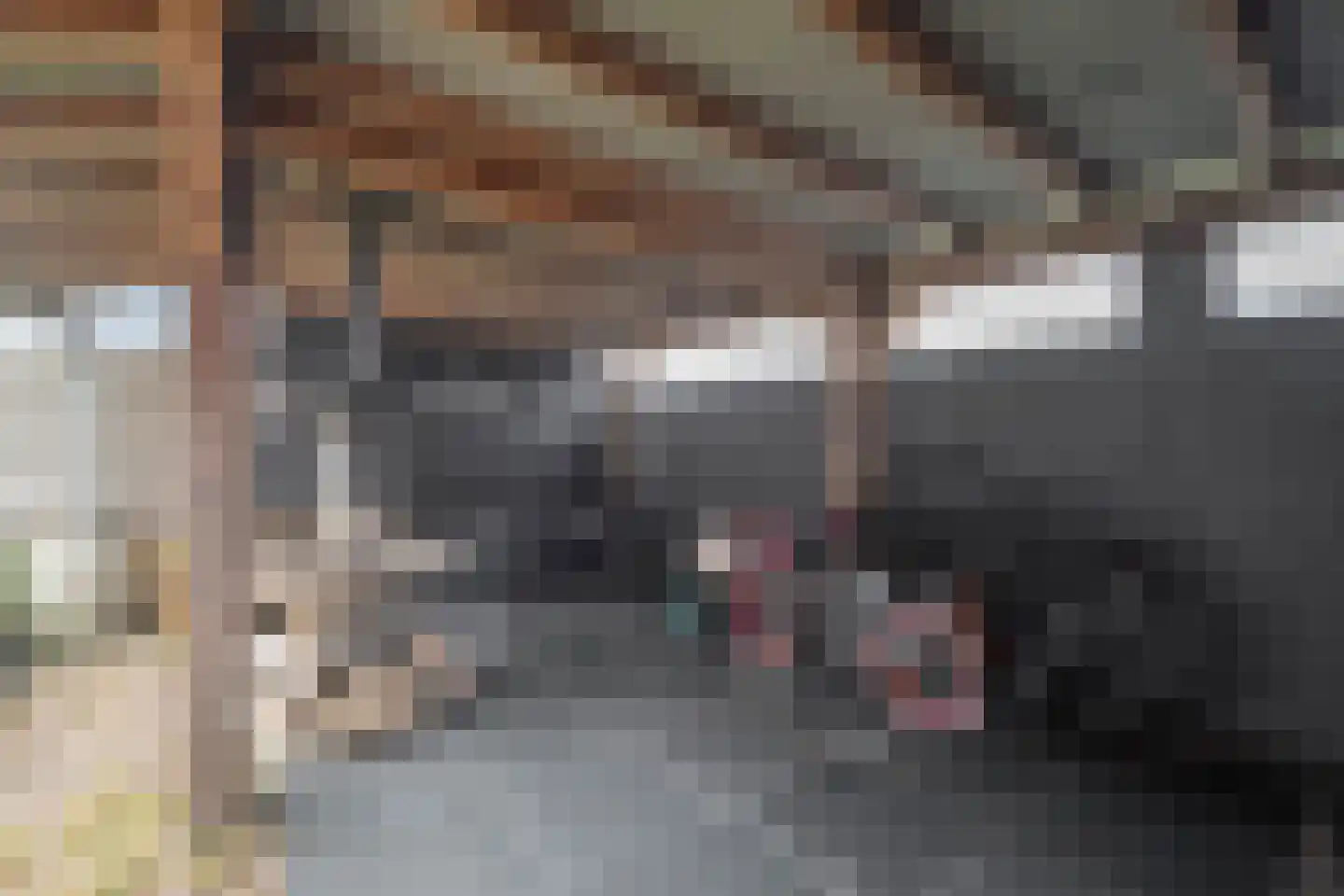 Zwanenplein 27 Burgerbrug thumbnail 32