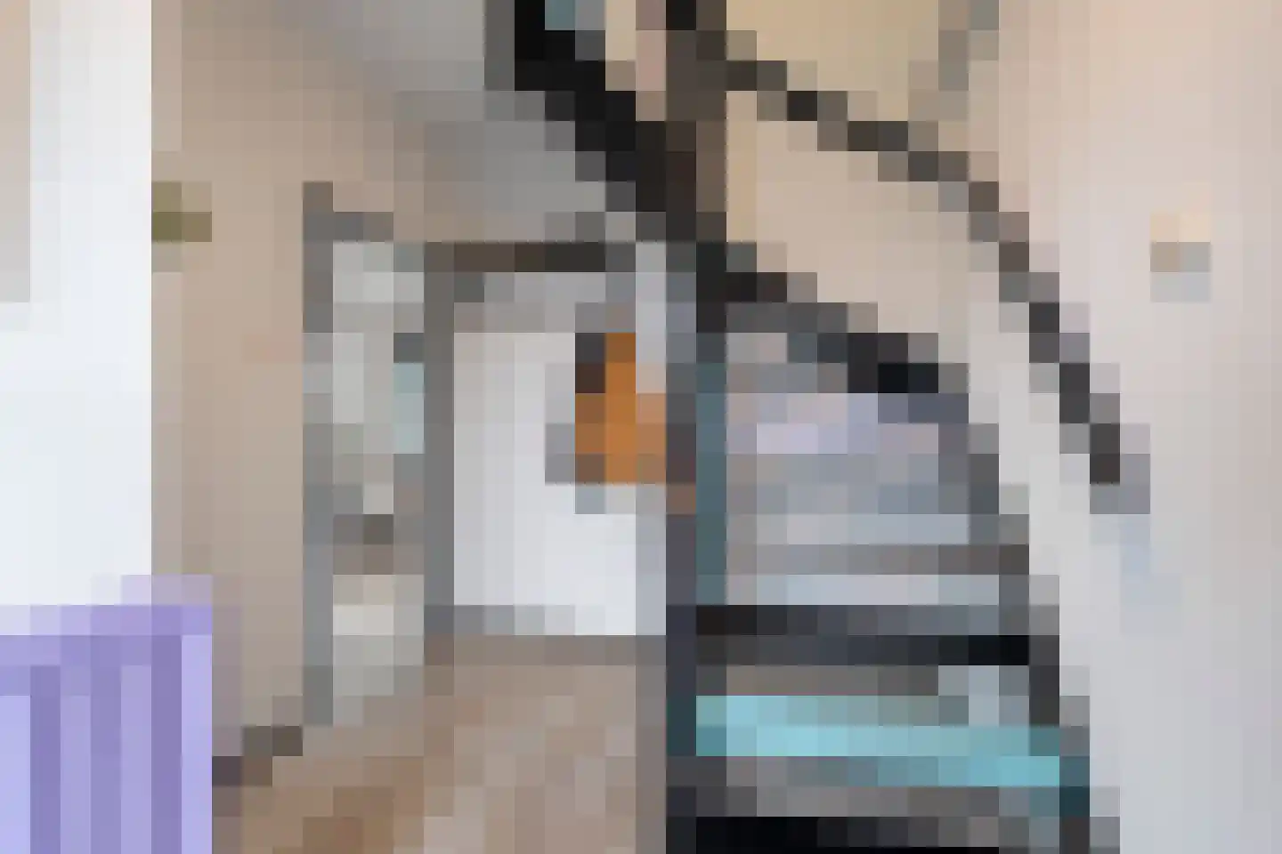 Zwanenplein 27 Burgerbrug thumbnail 4