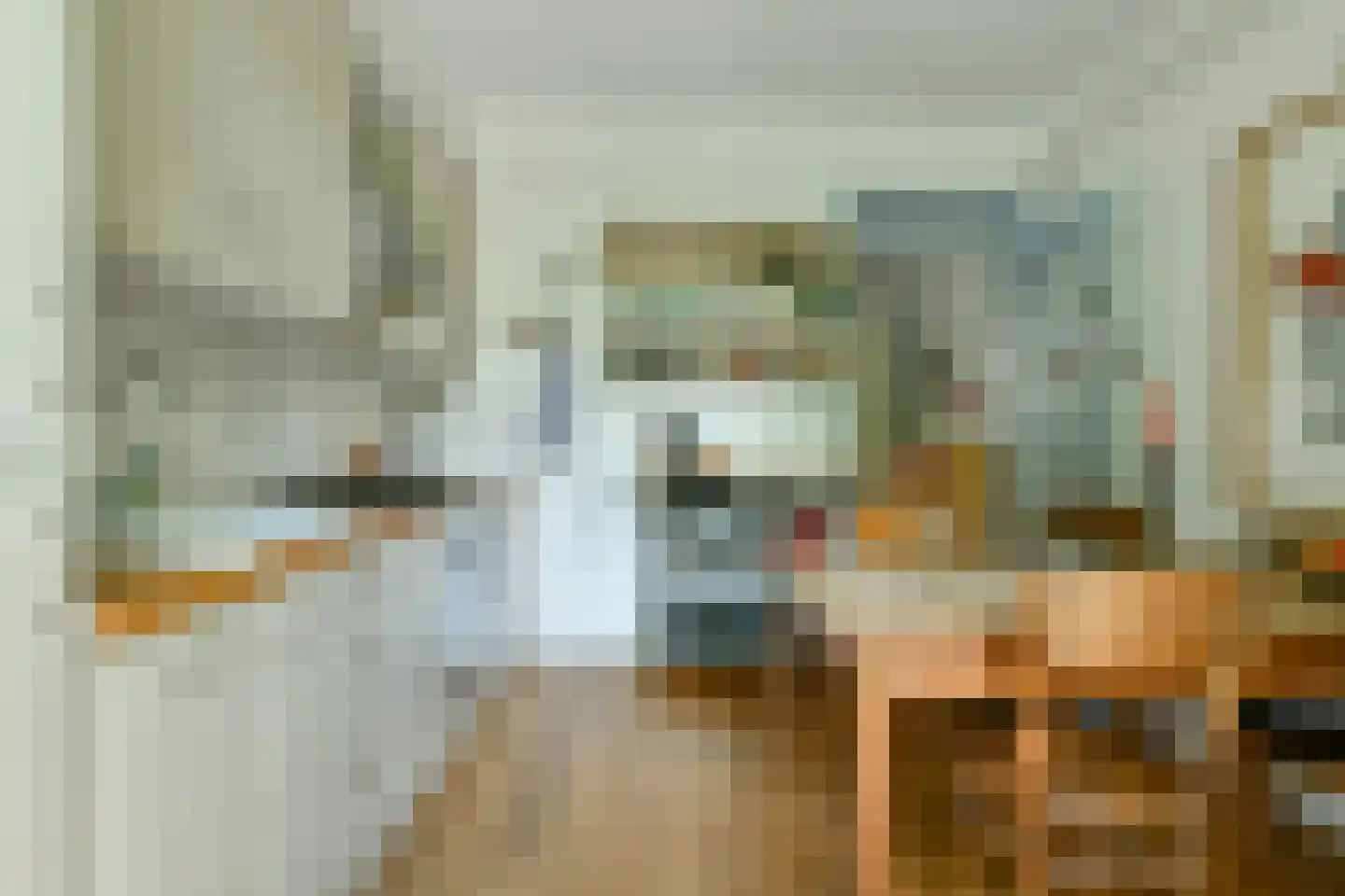 Zwanenplein 5 Amsterdam thumbnail 12
