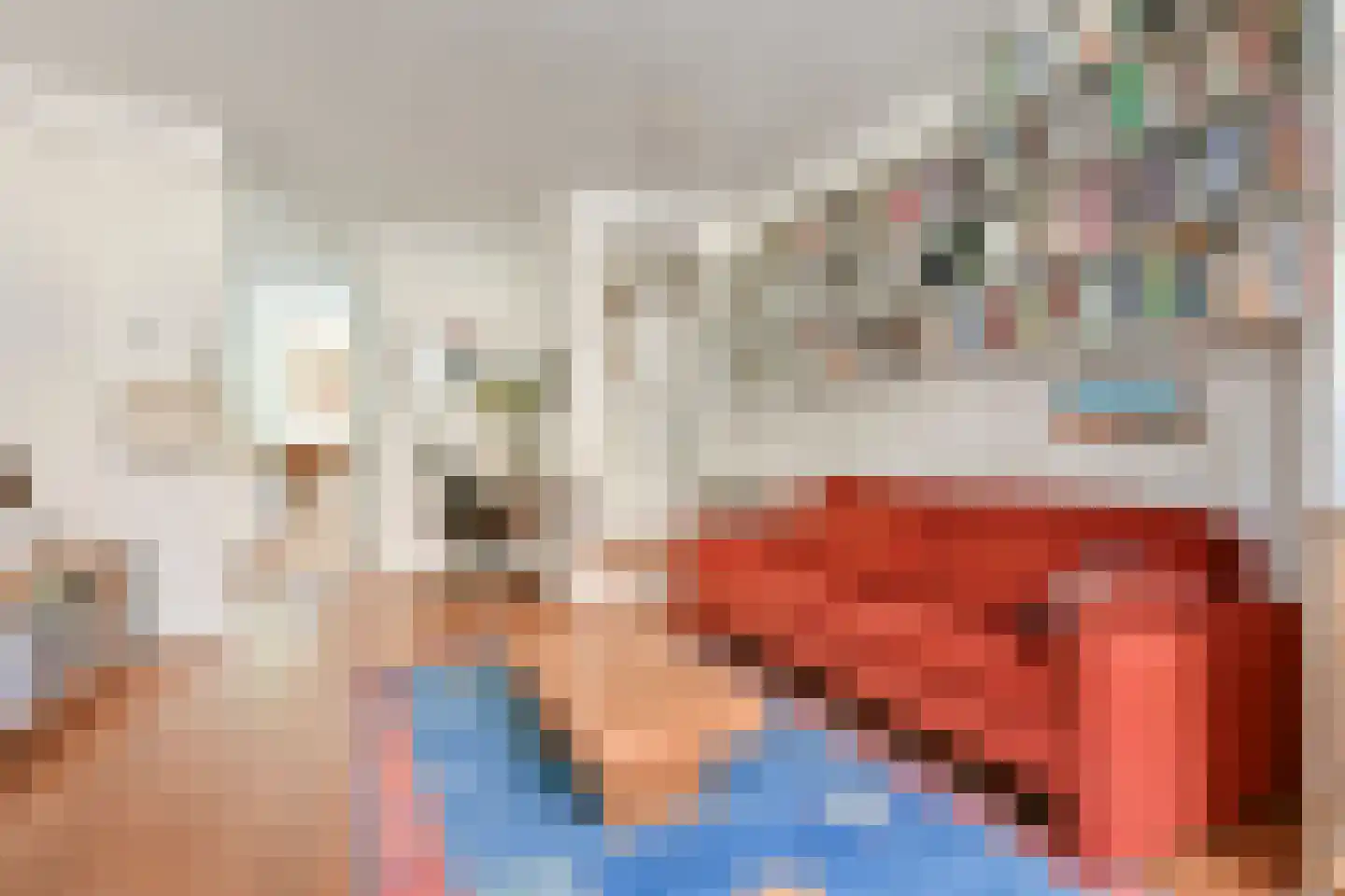 Zwanenplein 5 Amsterdam thumbnail 7